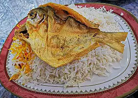 turistipercaso kuwait-m58us