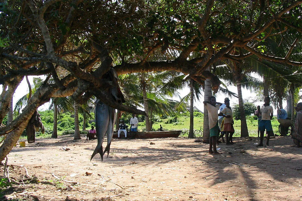 Watamu, Kenia hotel Aquarius