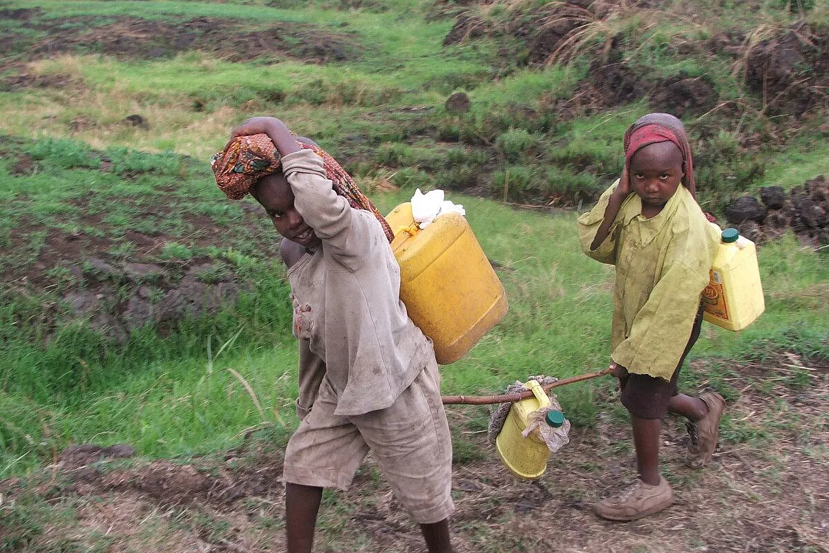 In Congo tra i gorilla