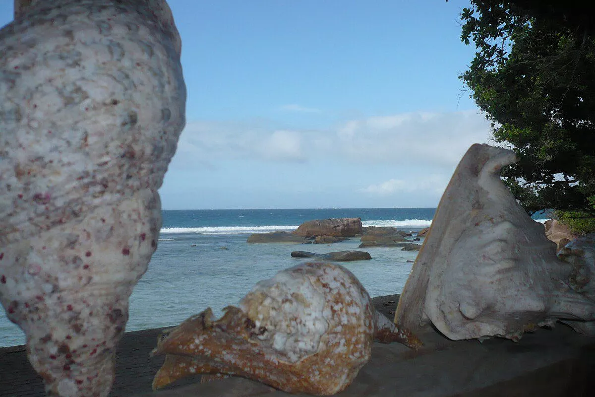Viaggio di nozze alle Seychelles: Praslin e La Digue