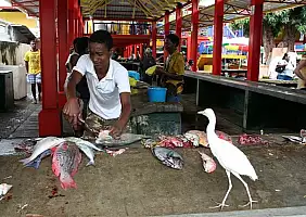 turistipercaso la-digue-seychelles-gtkv1