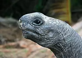 turistipercaso la-digue-seychelles-rwrw2