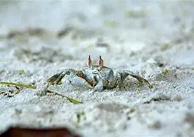 turistipercaso la-digue-seychelles-uq5er