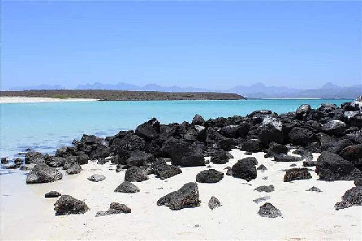 Baja California - isla Coronado