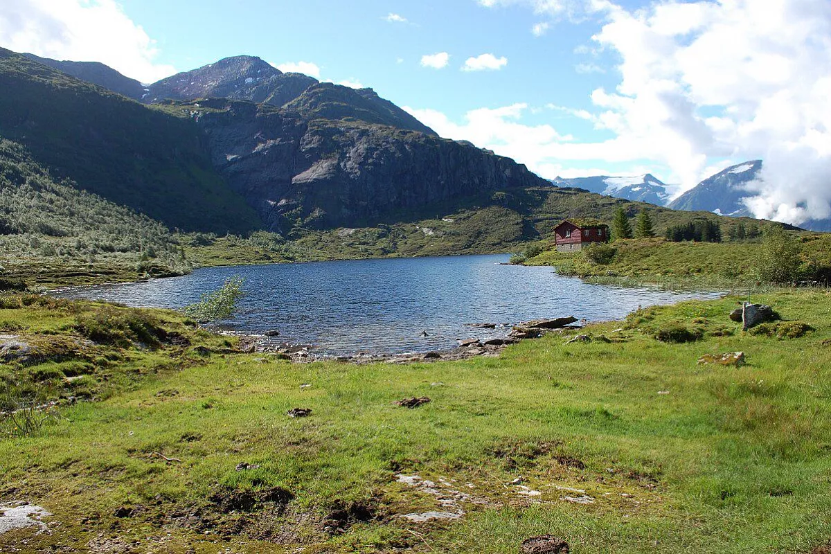 Norvegia: Oslo-Bergen e poi via tra fiordi, ghiacciai, balene e lofoten