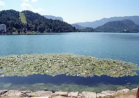 turistipercaso lago-di-bled-lago-46jwn