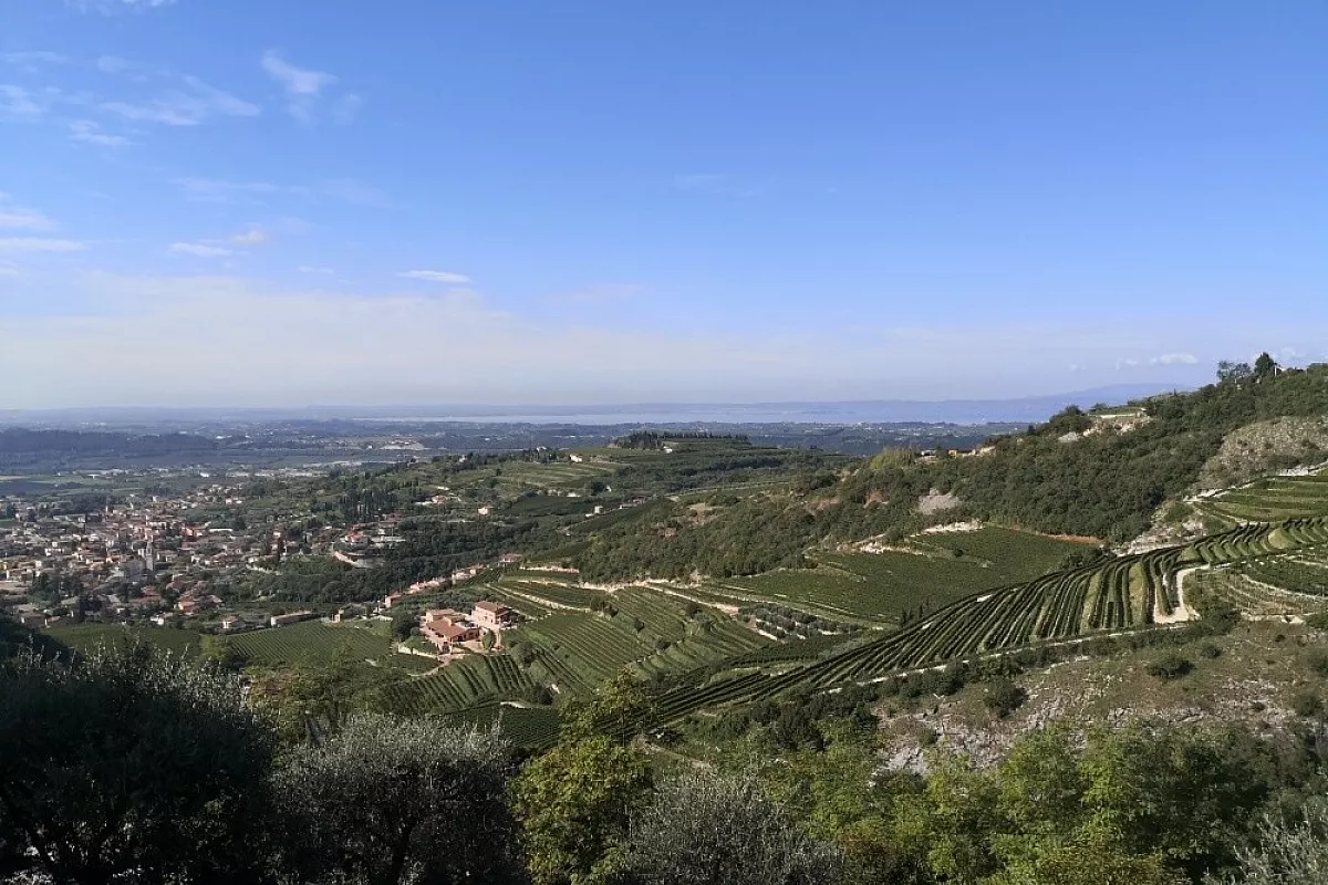 Veduta dal paese di San Giorgio di Valpolicella verso il Garda