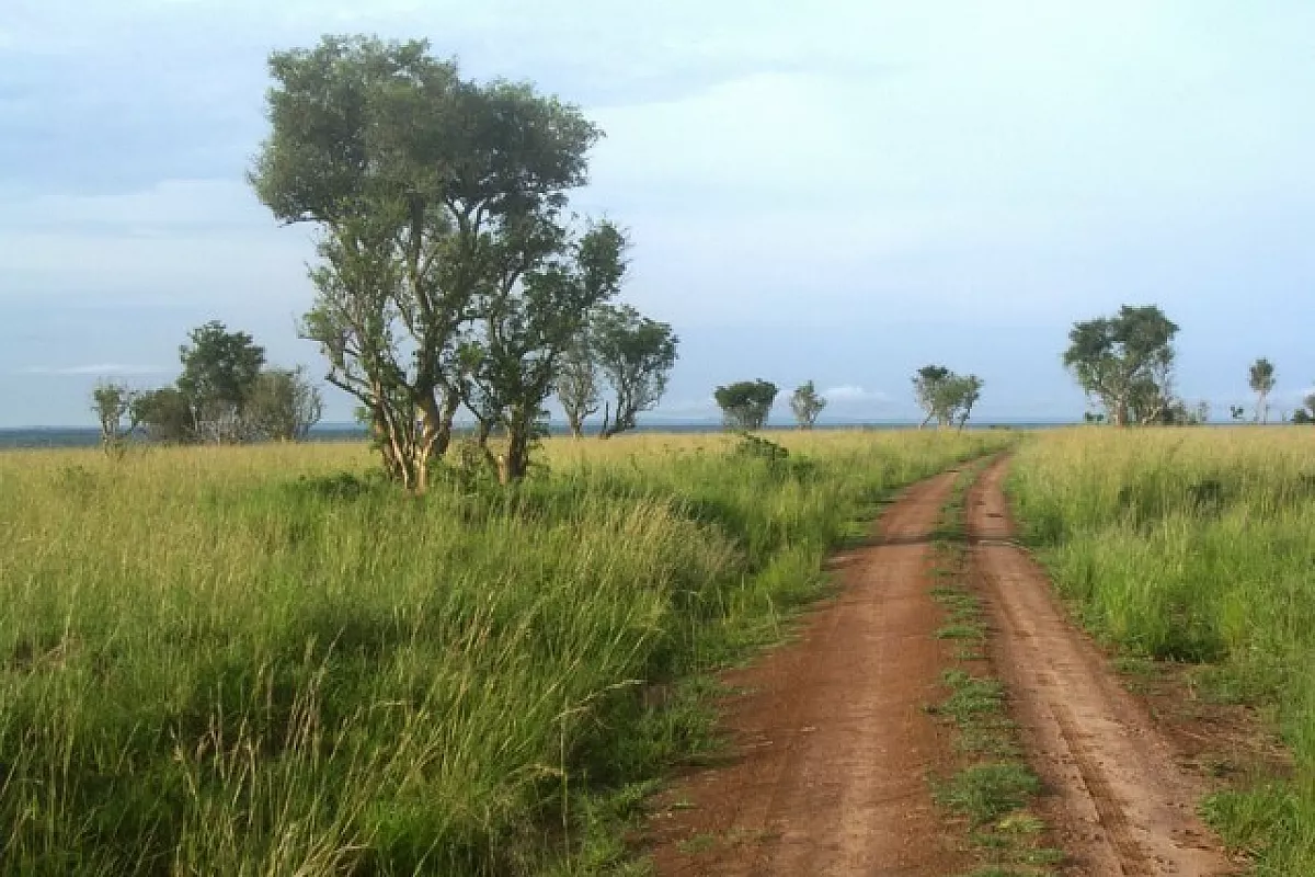 L’Altro Turismo per Caso: “Ecosafaris” in Uganda