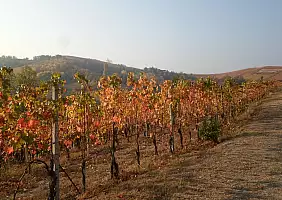 turistipercaso langhe-f3n6k