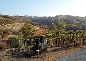 turistipercaso langhe-nvzem