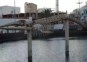 turistipercaso lanzarote-ptyte