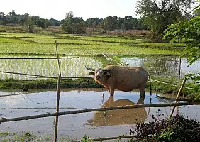 turistipercaso laos-rtdtq