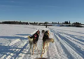 turistipercaso lapponia-bxry8