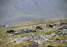 turistipercaso lapponia-ukfek