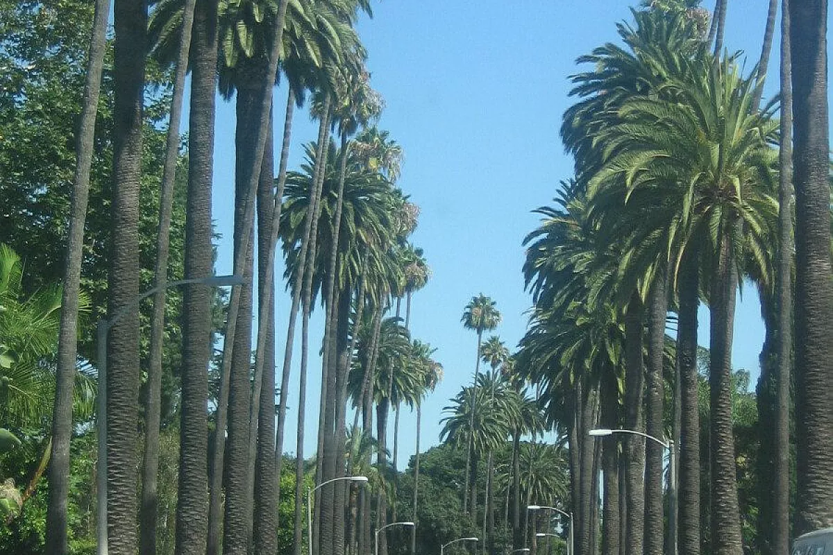 California 2