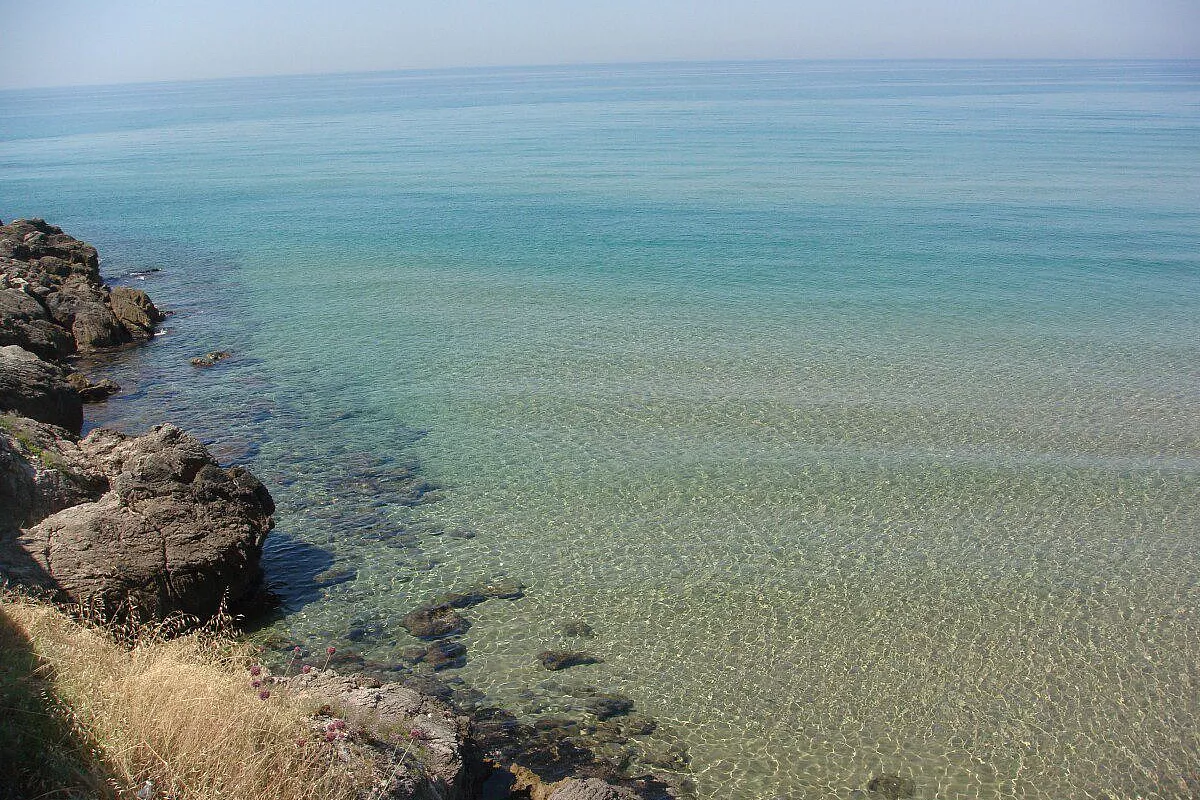 Mare