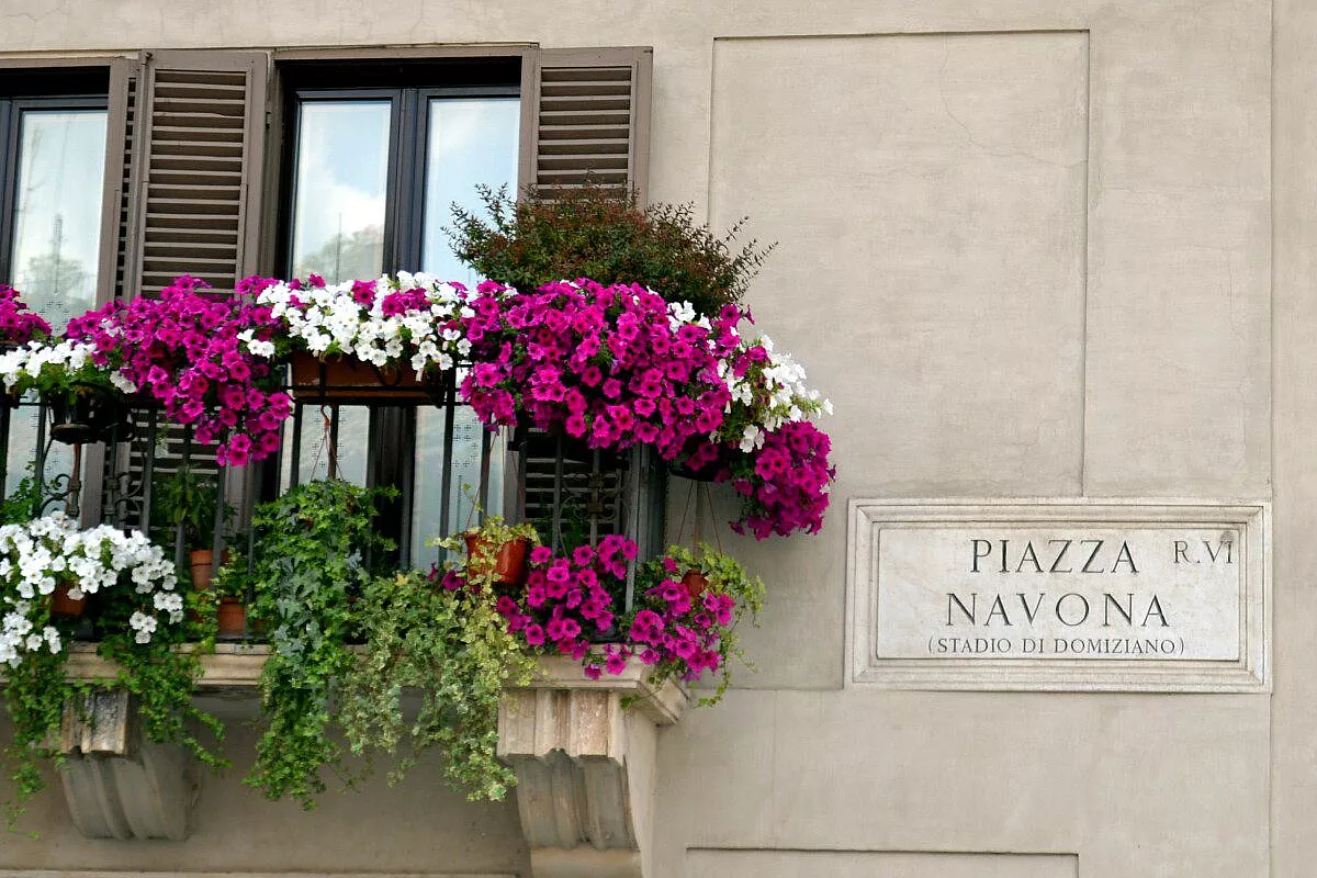 navona