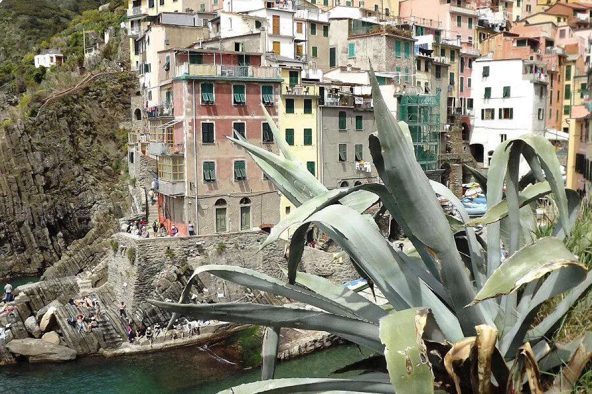Riomaggiore