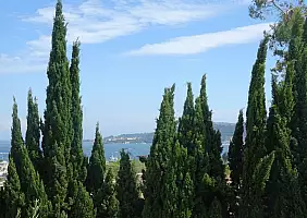 turistipercaso liguria-gjqe1