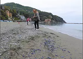 turistipercaso liguria-xzkhm
