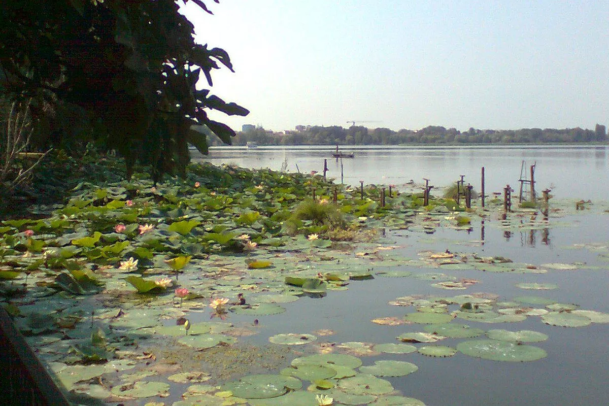 Dal Benaco al fiume Po: in bicicletta lungo il Mincio.