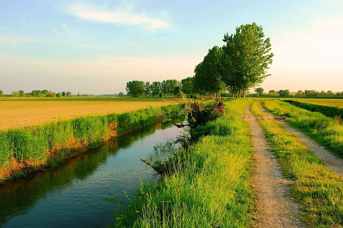 Nella mia terra…! Mantova e il Mincio