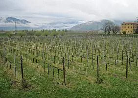 turistipercaso lombardia-zdnn8