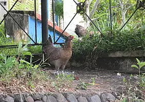 turistipercaso lombok-gkyg6