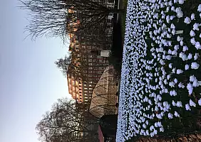 turistipercaso londra-4r311