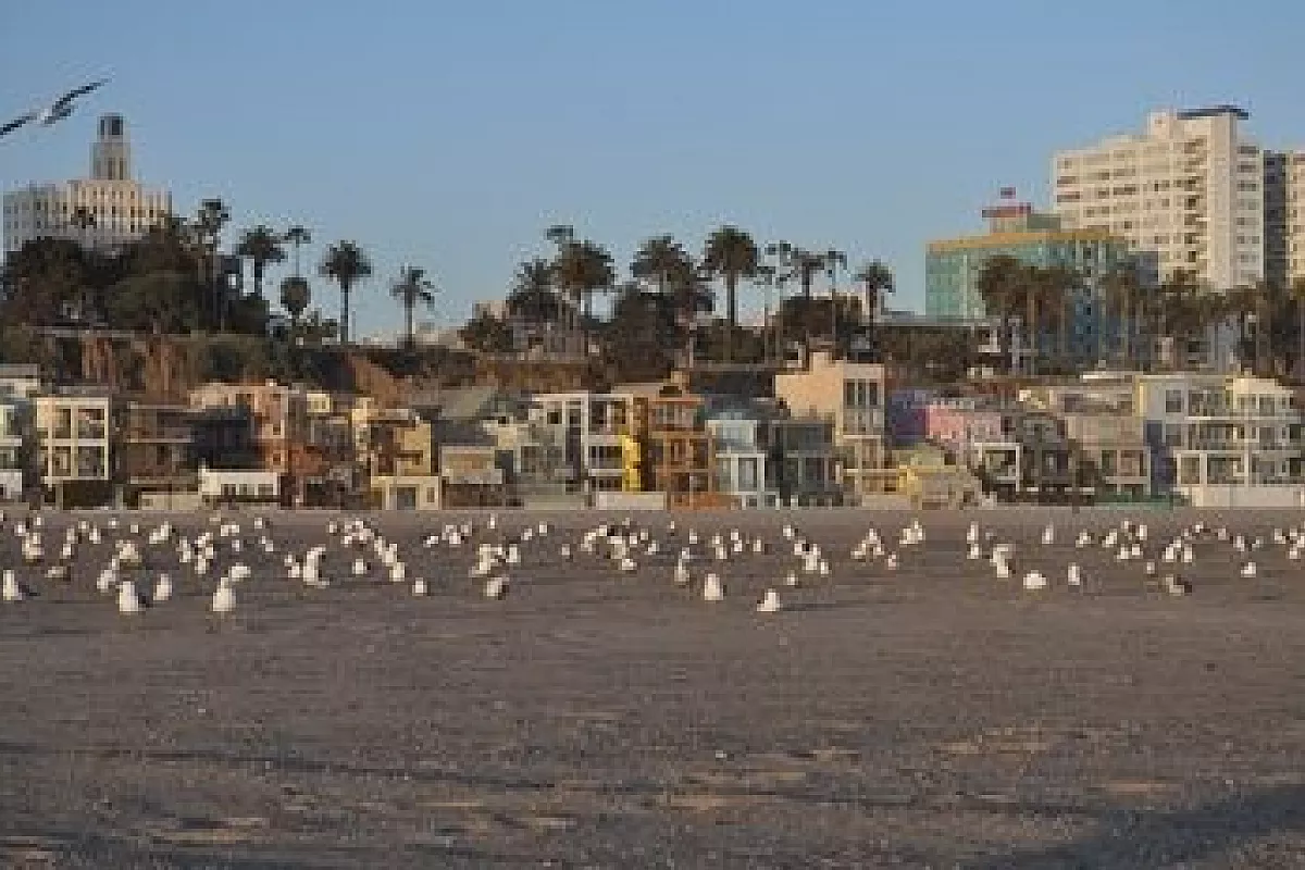California Dreaming 4