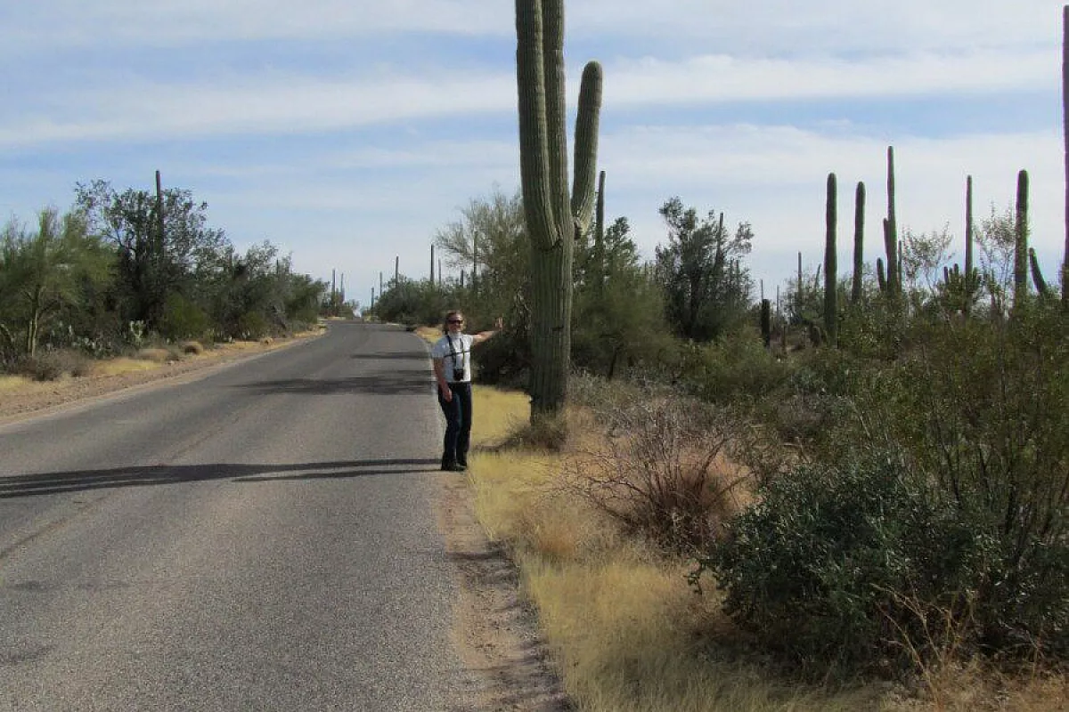 Saguaro national park- Arizona