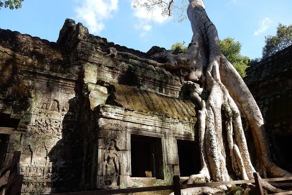 tempio Ta Prohm (visto in tomb Raider)