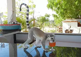 turistipercaso madagascar-331k2