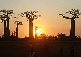turistipercaso madagascar-73q1t