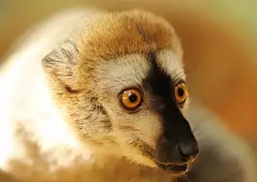 turistipercaso madagascar-hmzbq