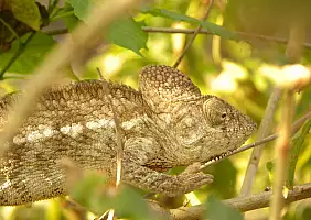turistipercaso madagascar-ku8ay