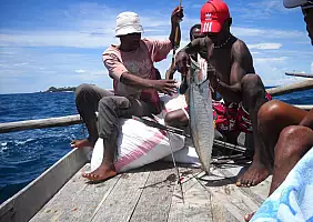 turistipercaso madagascar-mare-2w86p