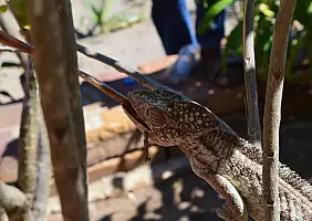 turistipercaso madagascar-natura-3usgs