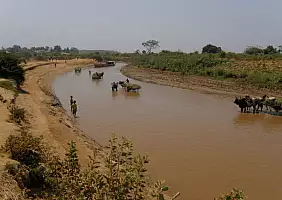 turistipercaso madagascar-natura-424vk