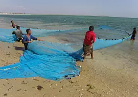 turistipercaso madagascar-natura-4rkpp