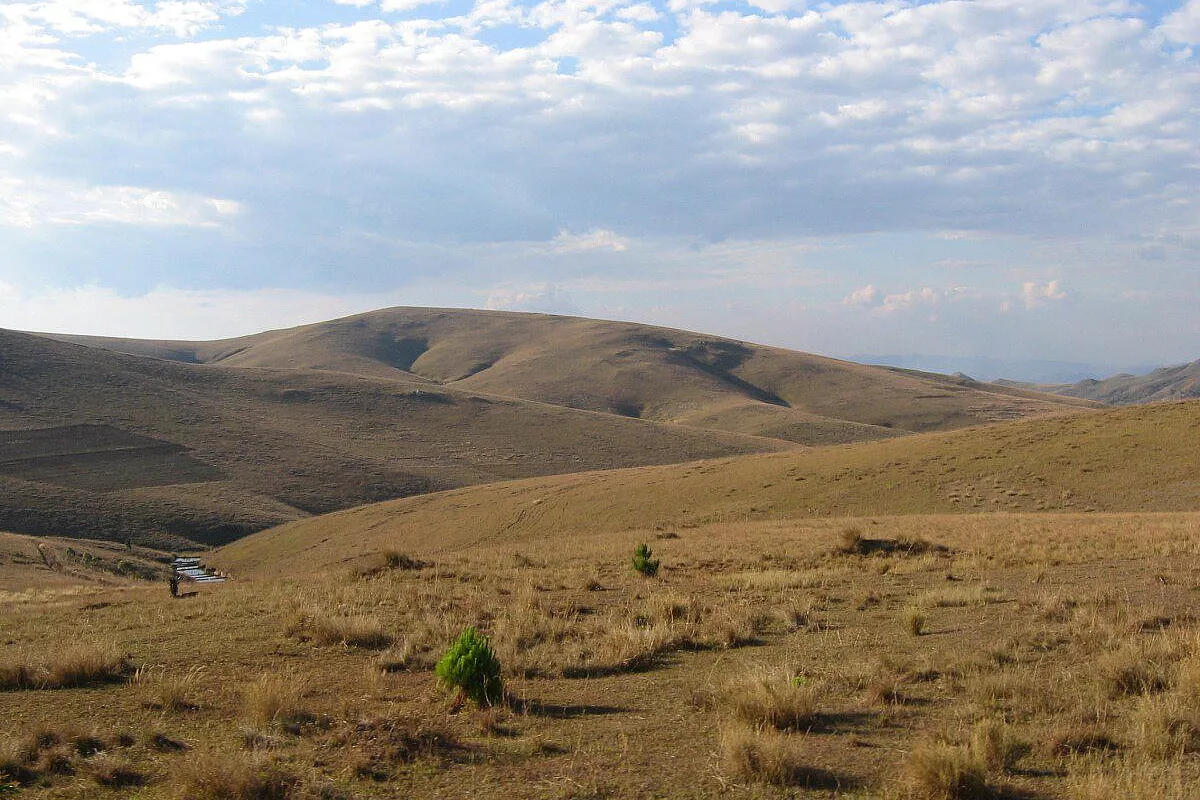 Tonga soa in Madagascar
