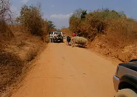 turistipercaso madagascar-natura-8r8ee