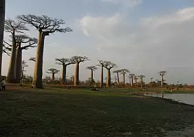 turistipercaso madagascar-natura-m2pwx