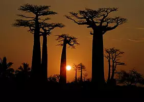 turistipercaso madagascar-natura-nhqec