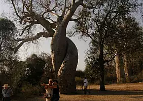 turistipercaso madagascar-natura-tas76