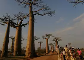 turistipercaso madagascar-natura-v9xnn