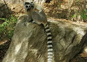 turistipercaso madagascar-natura-w9d7x