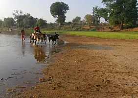 turistipercaso madagascar-natura-wkgje
