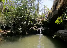 turistipercaso madagascar-natura-ybpsv