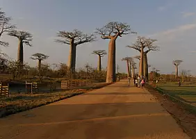 turistipercaso madagascar-natura-yy7hb